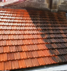 Démoussage de toiture avec Couvreur Peillex 06